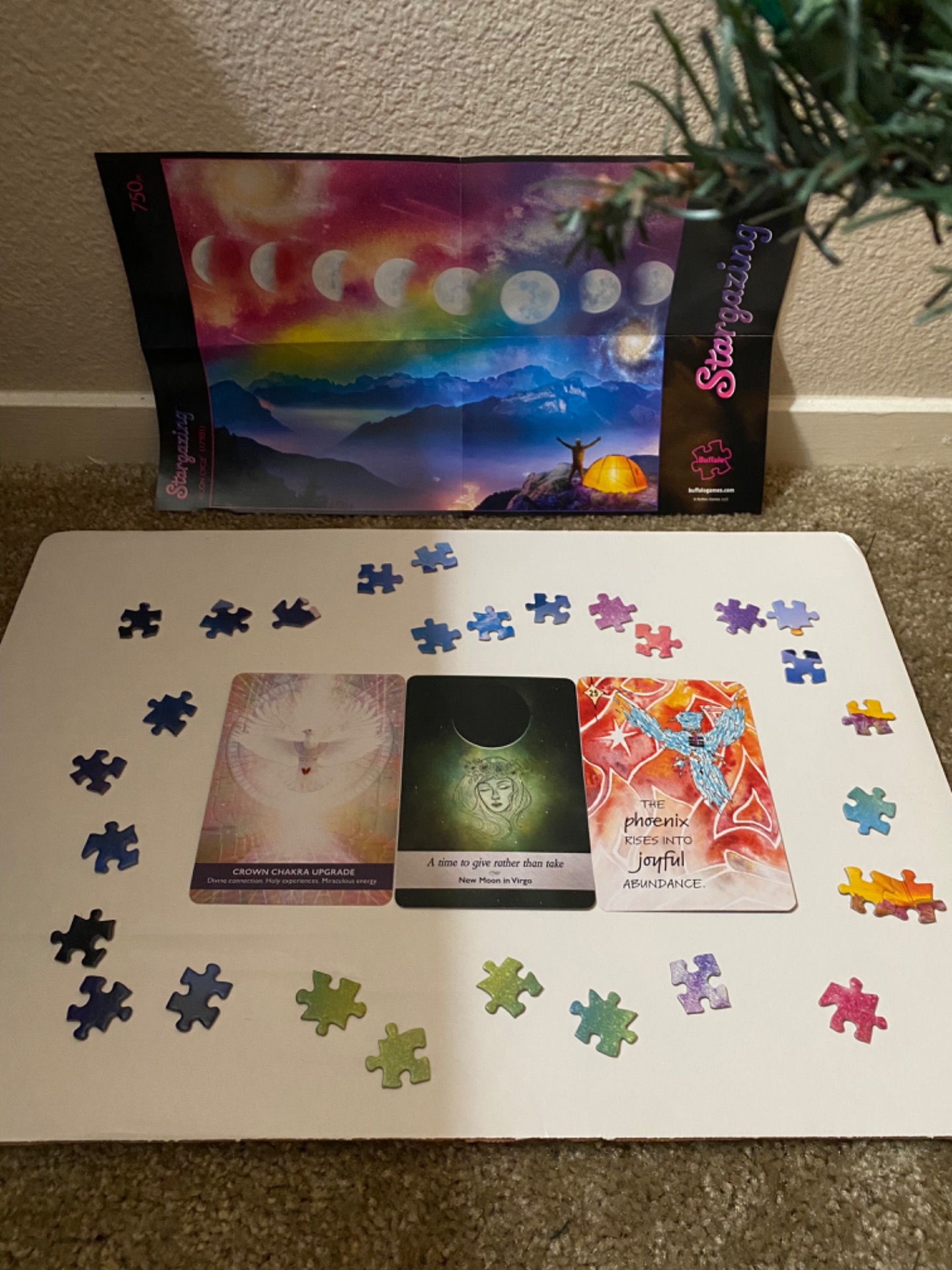 Click Here To Order Rising Up